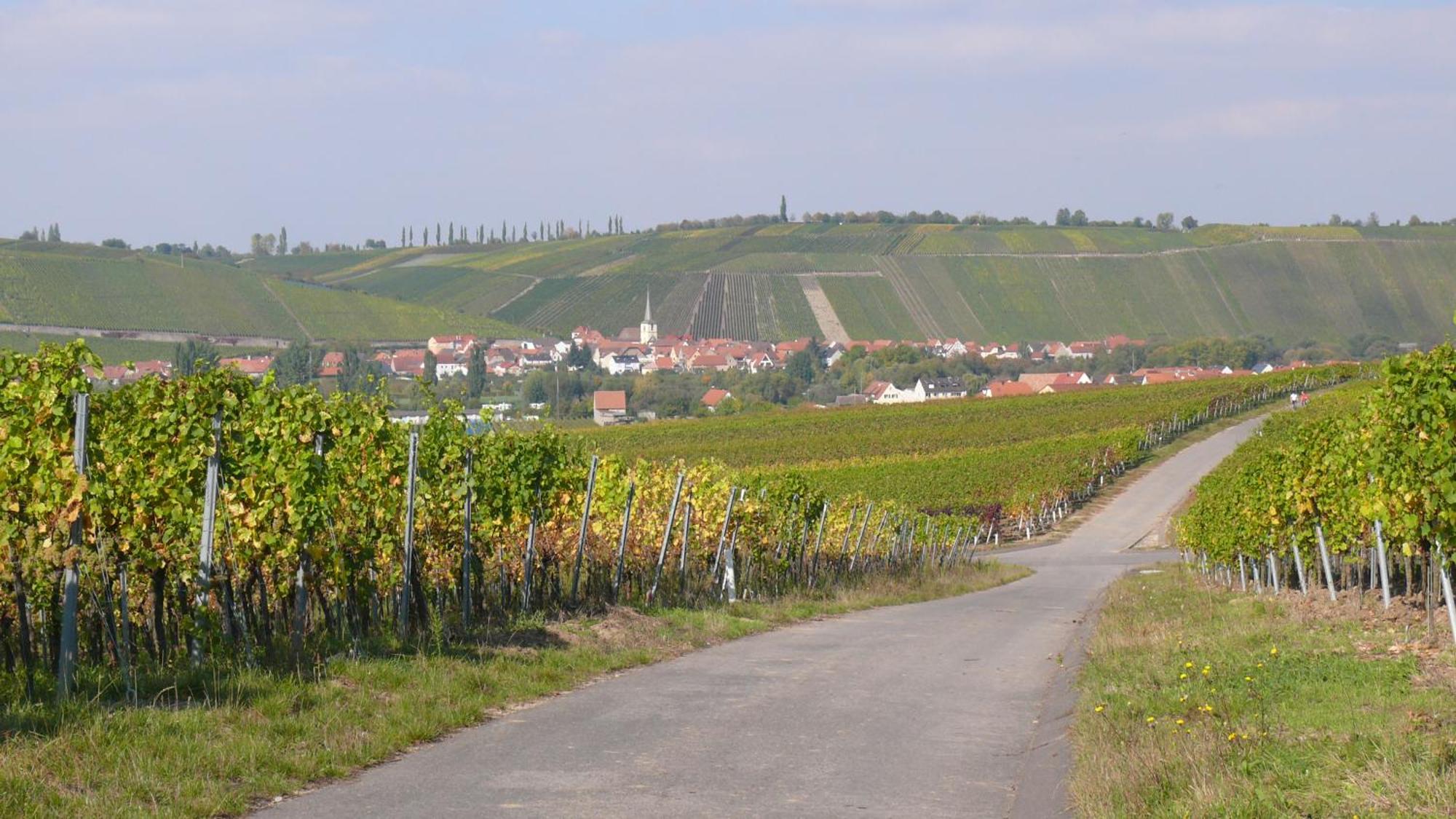 Weingut Herbert Kram Nordheim am Main Ngoại thất bức ảnh