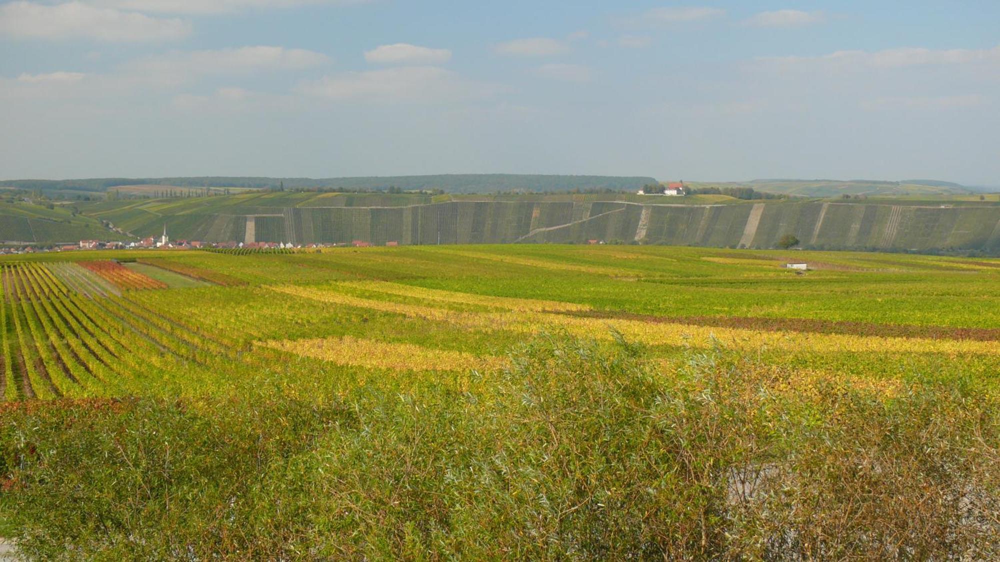 Weingut Herbert Kram Nordheim am Main Ngoại thất bức ảnh